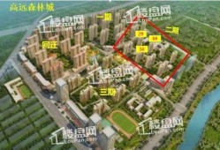 高远森林城最新爆料,揭秘生态宜居新地标背后的故事