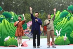 凯里最新新闻爆料视频,揭秘视频背后的惊人真相