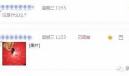 怎么看最新爆料信息内容,深度解析事件背后真相