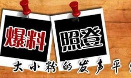 最新龙吟爆料新闻,揭秘神秘龙族势力崛起背后的真相